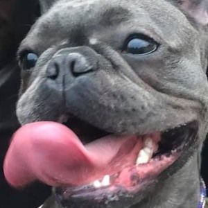 Meet your Posher, Lori